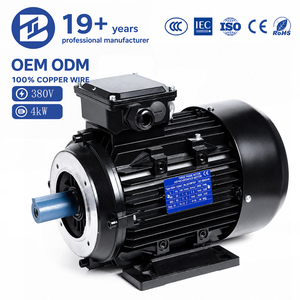 BIOTE YE3 Industrial Three Phase Induction Motor