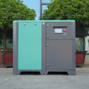 15kW 20hp Stationary Screw Air Compressor Electric Motor with VSD Drive