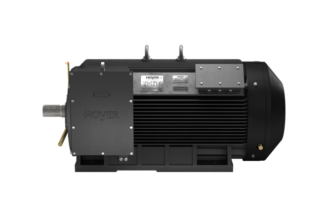 Hoyer High Power Medium Voltage Electric Motor MV