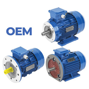 TECHO Three Phase AC Induction Motor