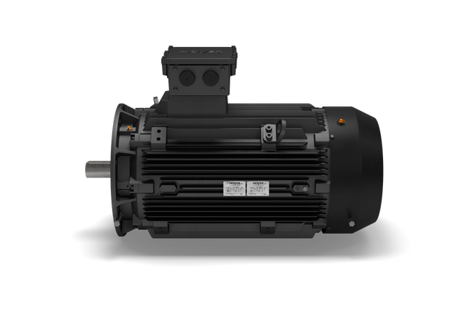 Hoyer ATEX IECEx Explosion Proof Flameproof Motor Ex