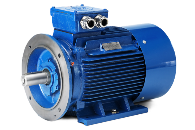 Hoyer IE1 Standard Electric Motor for Marine Auxiliaries