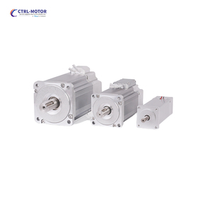 High and Low Temperature Servo Motor with Brake