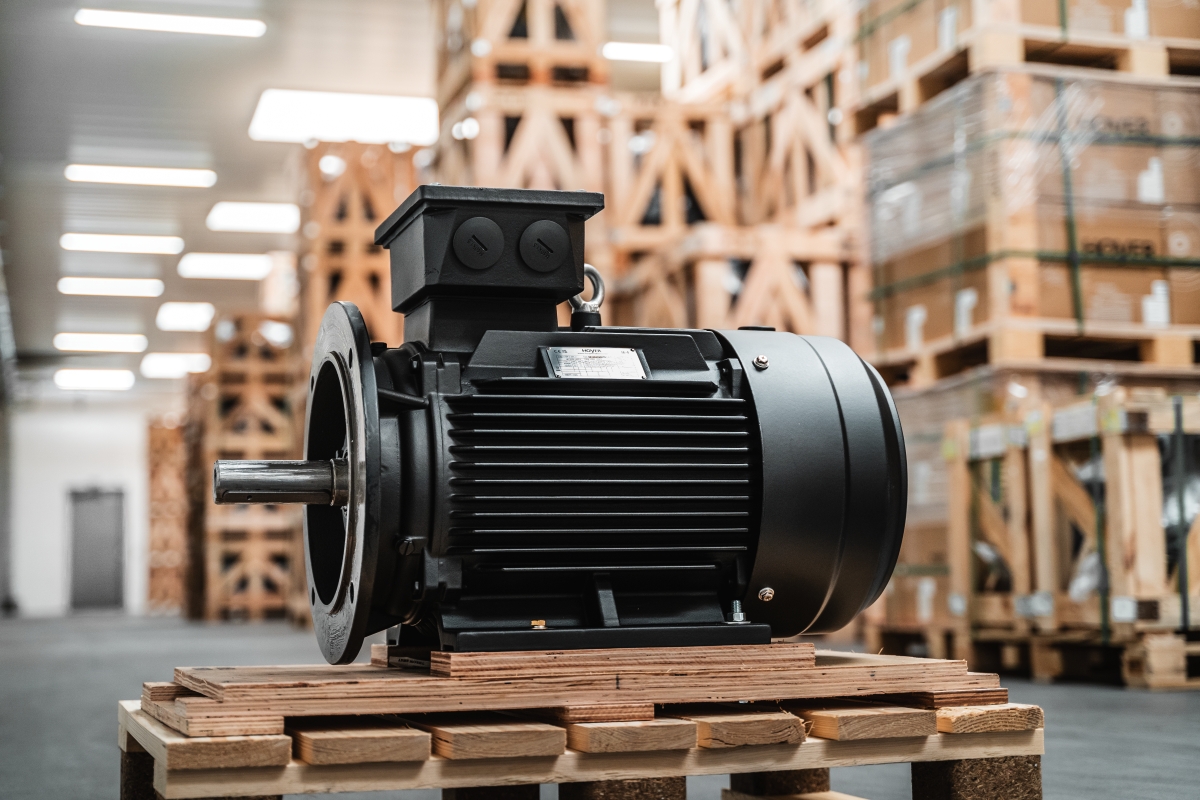 Hoyer IE4 Explosion Proof Motor for High Efficiency Duty