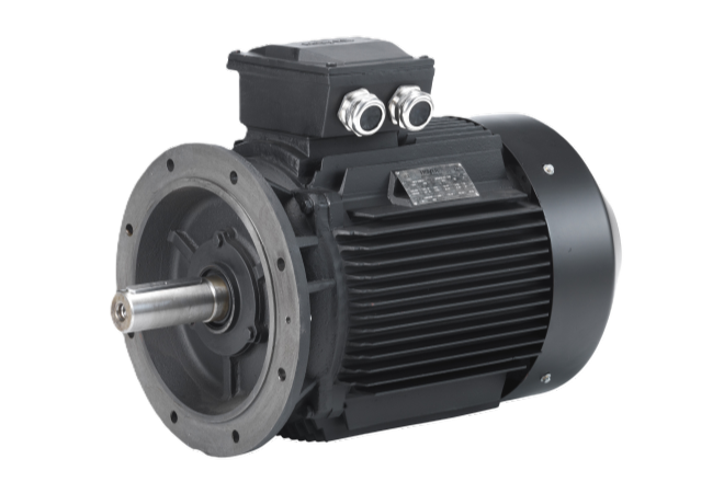 Hoyer IE2 High Efficiency Electric Motor